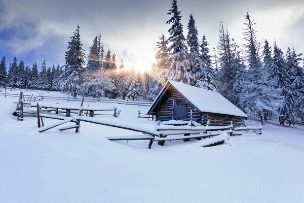 A snow-covered old house in the forest