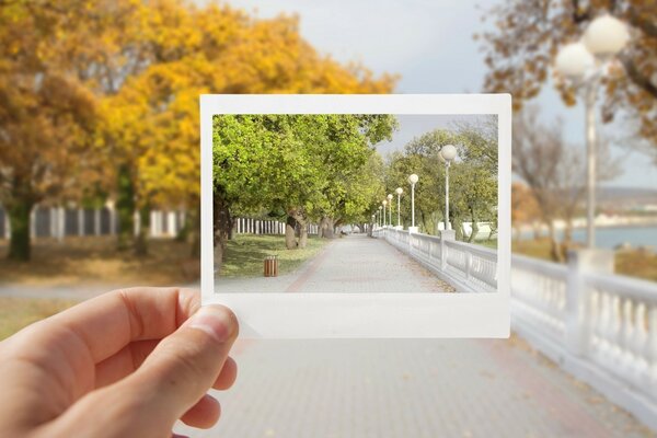 Stadtpromenade im Herbst und Frühling