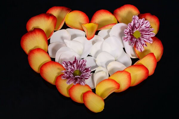 Heart of orange and white petals on a black background