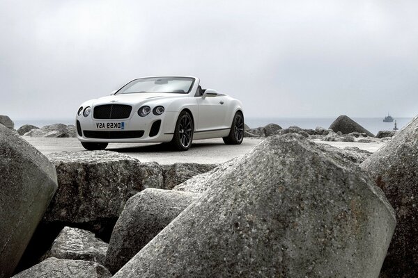 Sports car on the background of nature