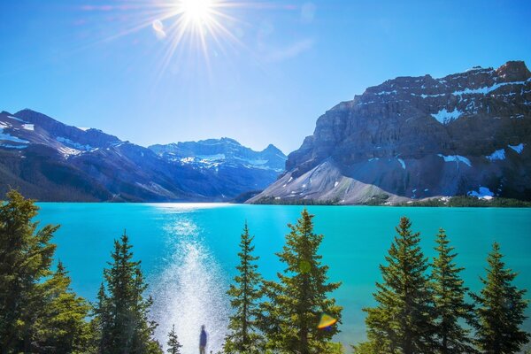 Le soleil illumine avec sa lumière un beau coin de la nature