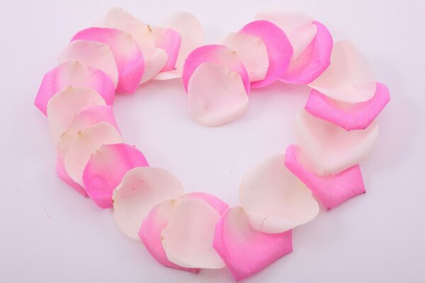 Pink and white petals laid out in the shape of a heart