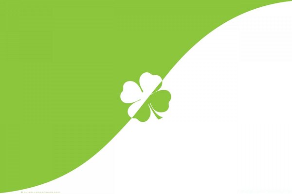 Illustration white-green background, clover