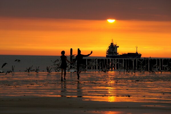 Sunset Horizon Sea Ocean Ship Children Birds Sun Water