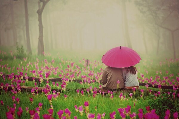 Amantes sob um guarda-chuva rosa no campo