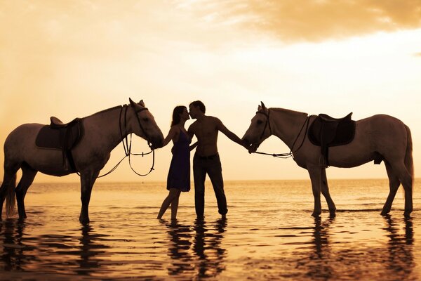 A couple in love with horses at sunset