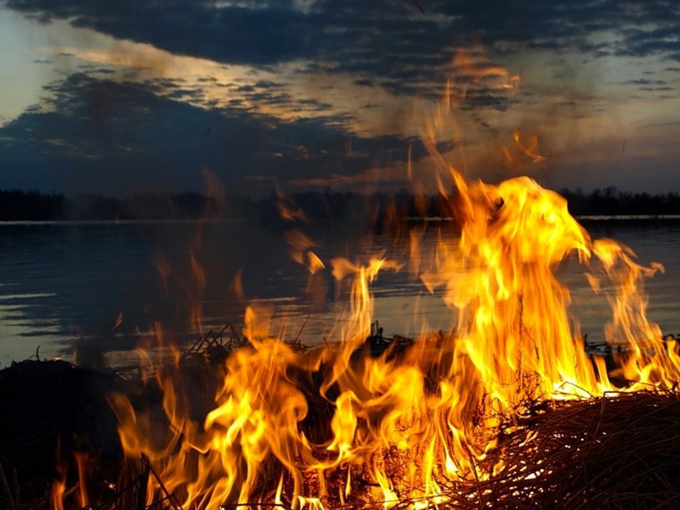Раз горят огни. Огонь. Красивый огонь. Горящий огонь. Огонь на природе.