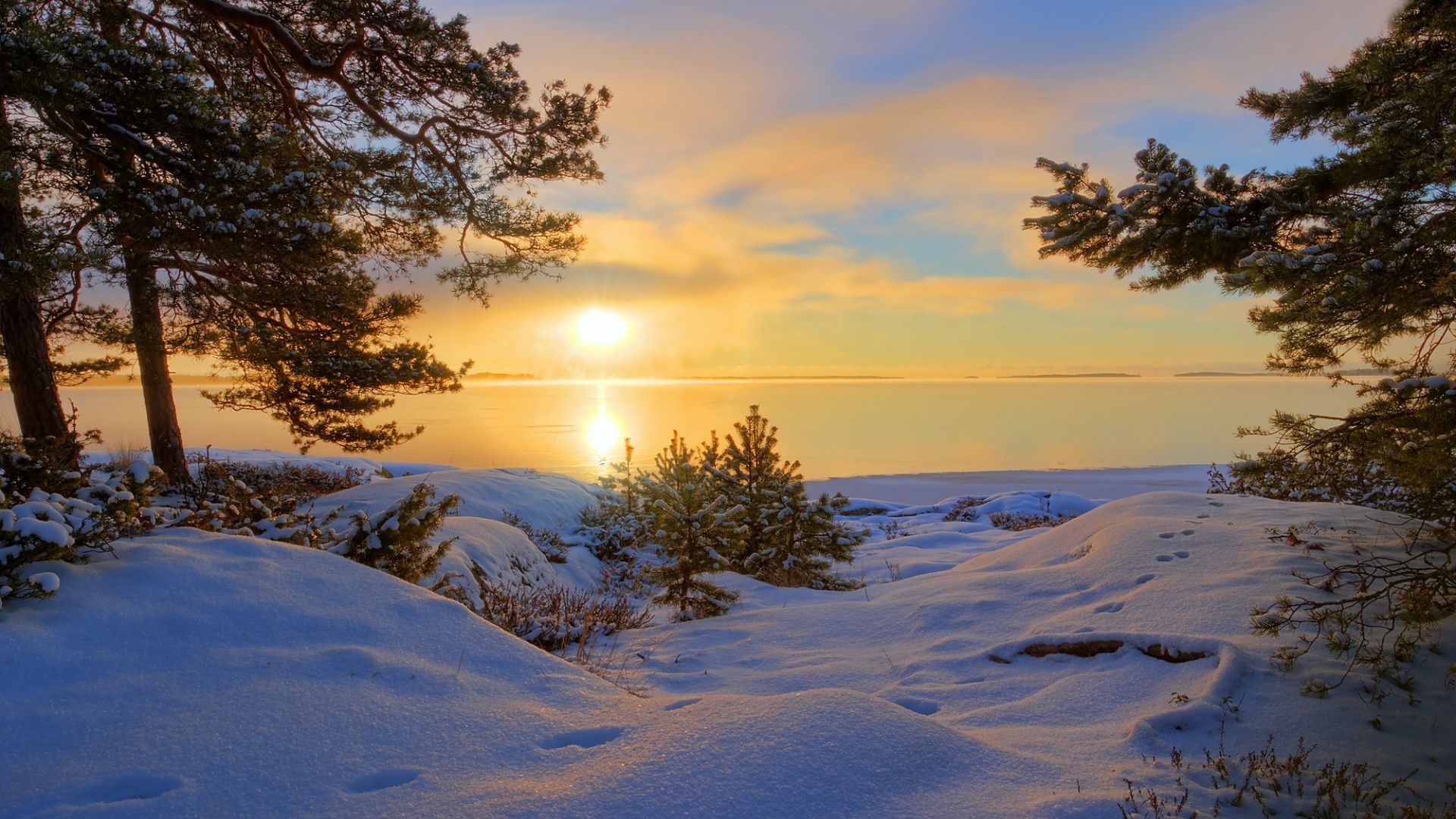 winter baum sonnenuntergang landschaft dämmerung schnee wasser natur sonne abend see himmel gutes wetter licht reflexion im freien gefroren kalt dämmerung