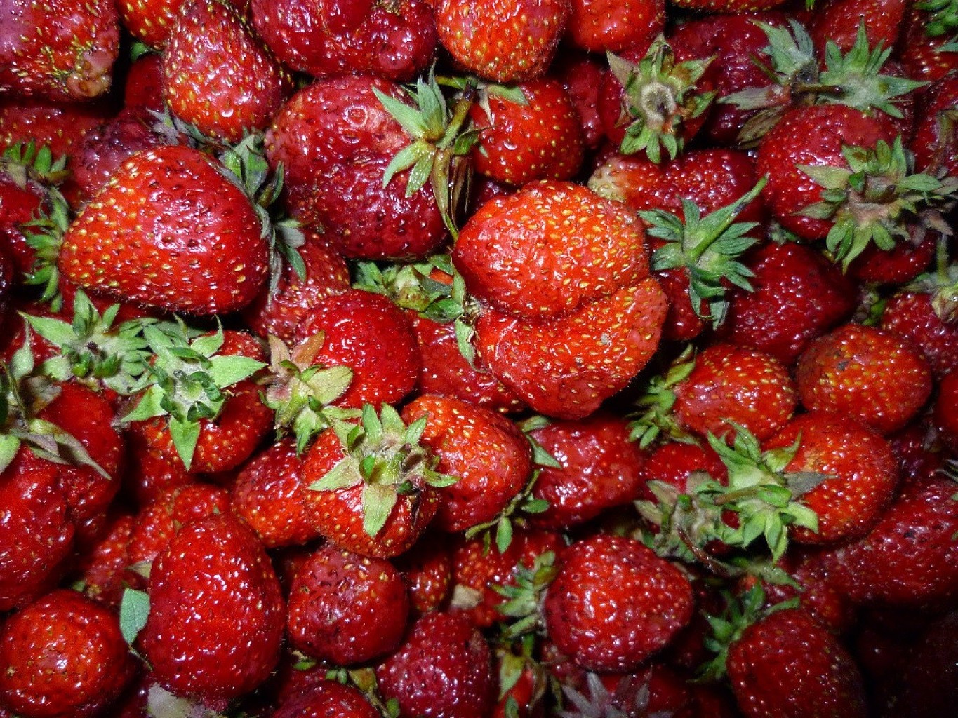 beeren erdbeere obst beere saftig gesund lebensmittel süß lecker gesundheit lecker diät gebäck essen frische erfrischung blatt markt garten wachsen