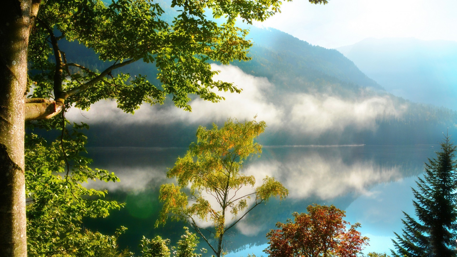 montagnes arbre nature paysage bois feuille ciel automne à l extérieur scénique beau temps saison été aube soleil lumineux environnement brouillard paysage parc