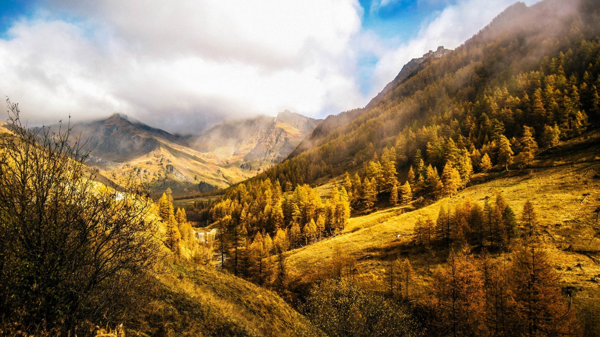 automne paysage montagnes scénique en plein air bois automne nature bois voyage neige vallée lumière du jour ciel colline