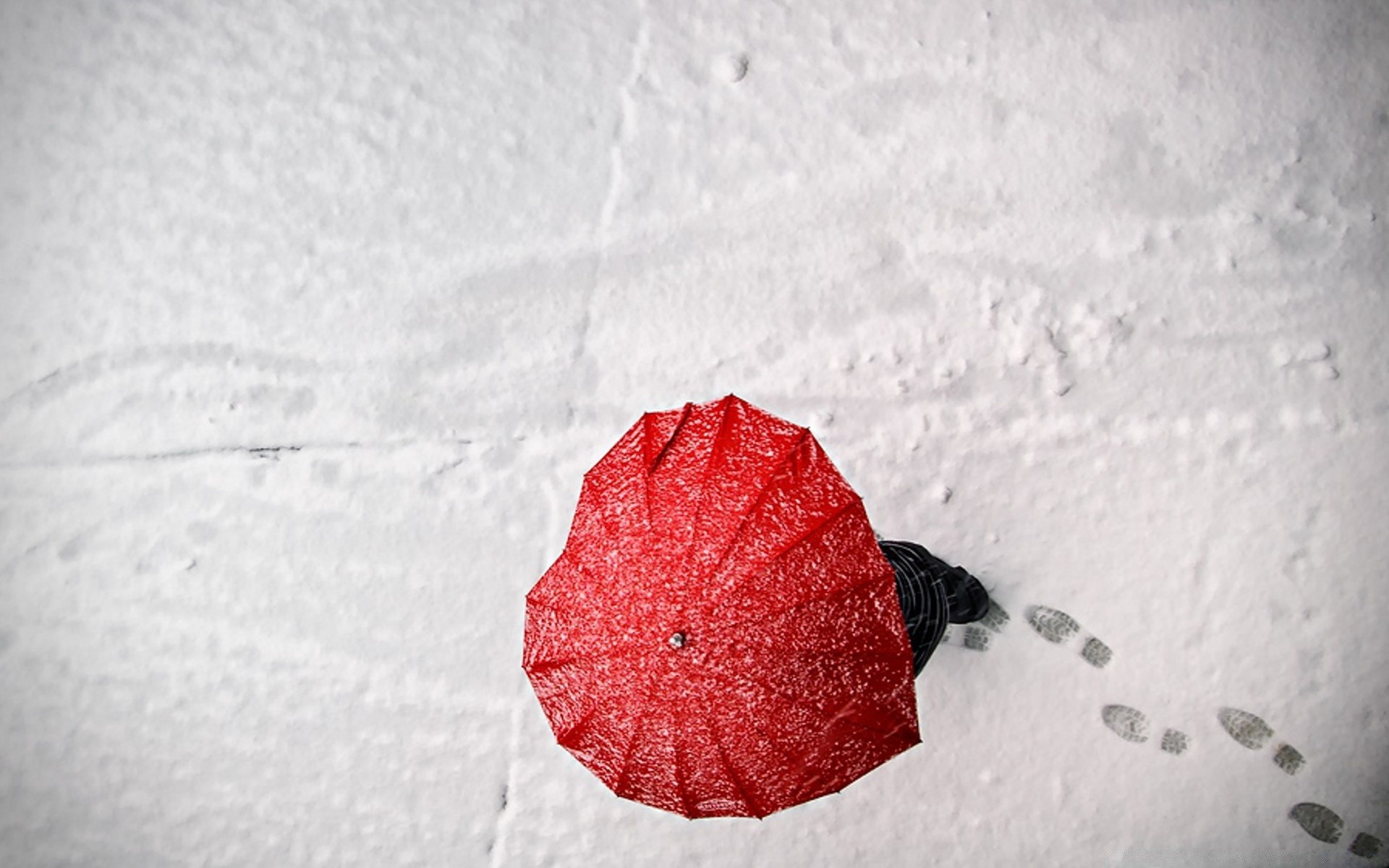 valentinstag schnee essen natur ein winter stillleben kälte