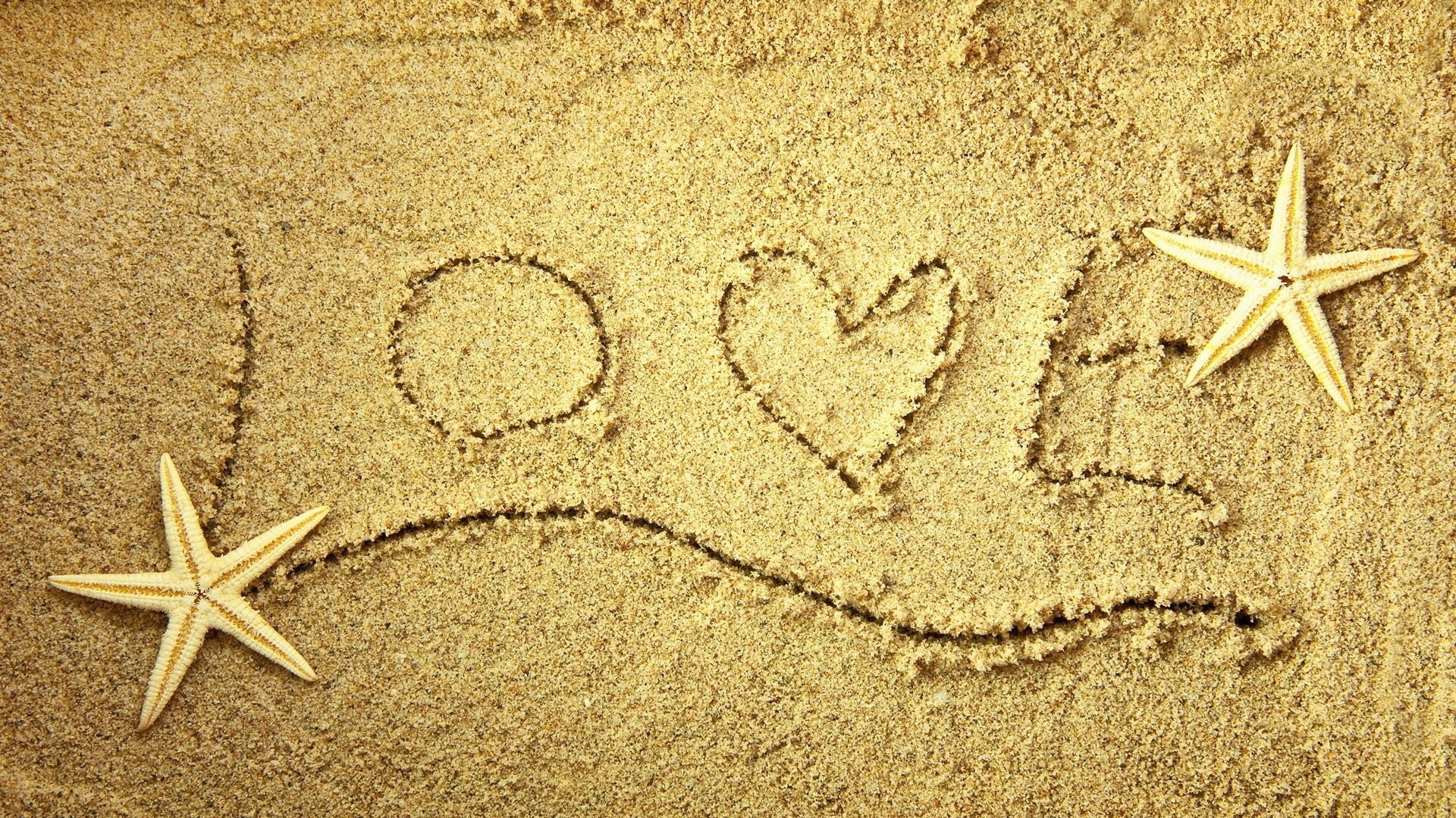 valentinstag seestern strand sand meer muscheln schale ufer urlaub nadelhäute ende desktop meer küste textur formen ozean symbol natur