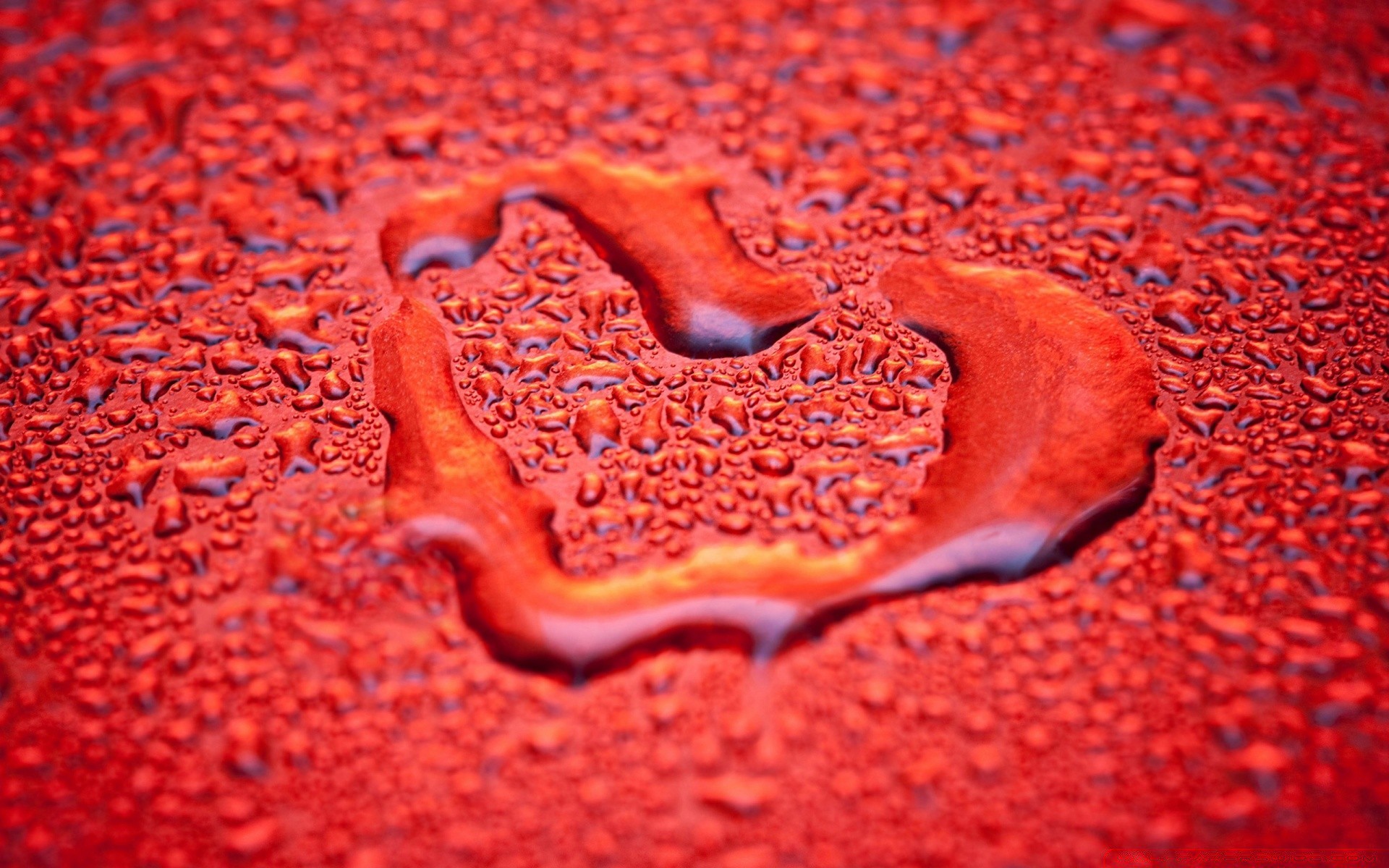 día de san valentín escritorio comida textura primer plano abstracto patrón corazón color forma mojado