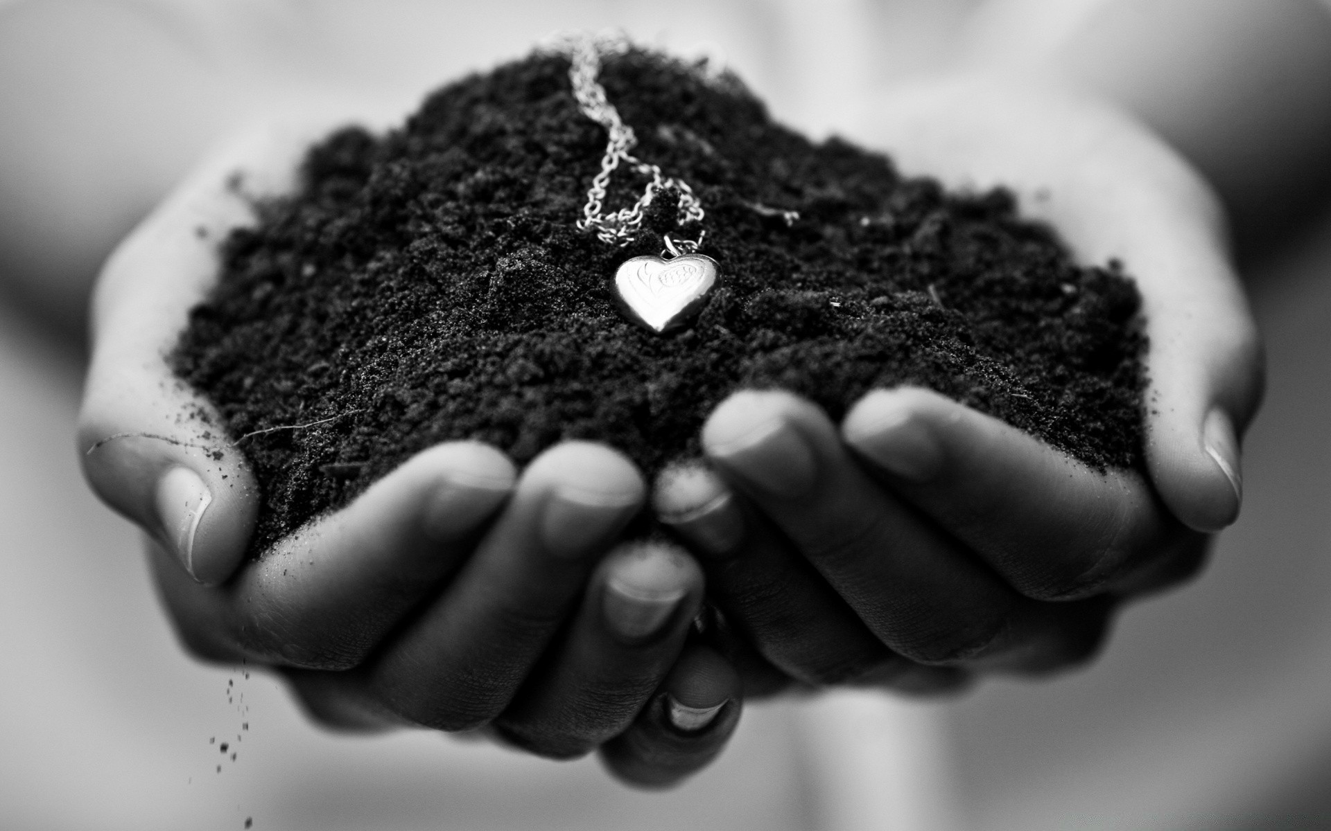 giorno di san valentino cibo caffè a forma di palla poco terreno scuro mano cioccolato donna dolce