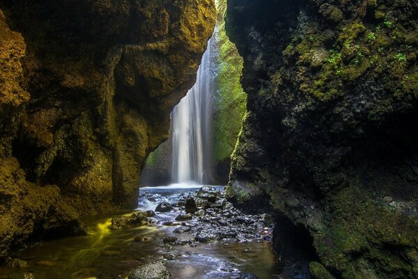 Picture waterfall in green rocks