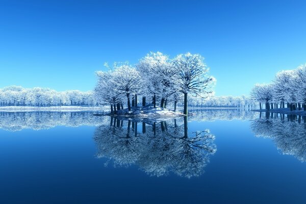 Lac et arbres gelés autour