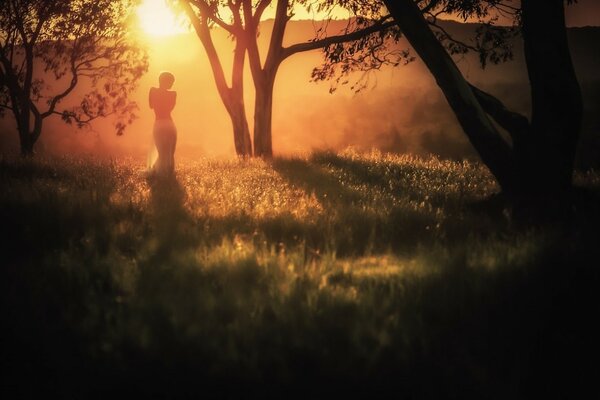 Silhouette mystérieuse d une jeune fille dans une forêt sombre