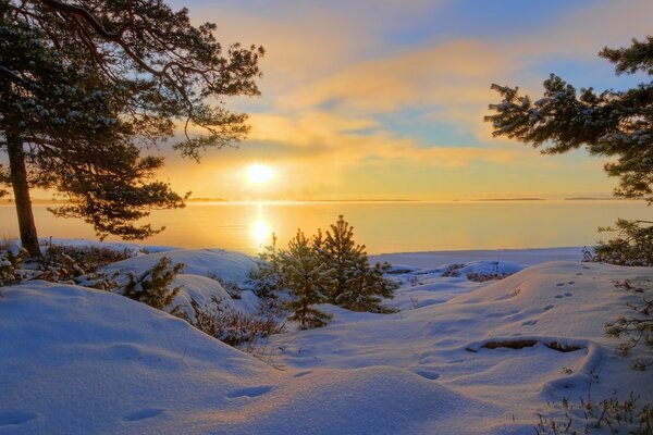 Vista desde el bosque al lago en invierno al atardecer