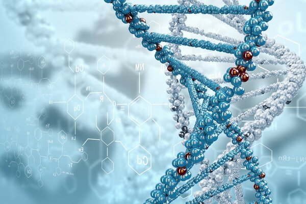 The biochemistry of the chain in a beautiful image