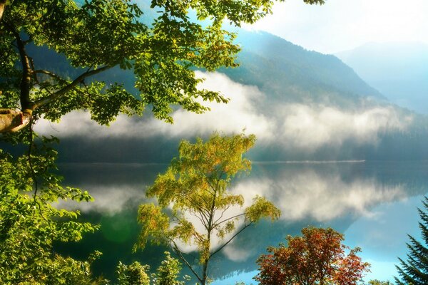 Nuvola di sopra di un lago trasparente