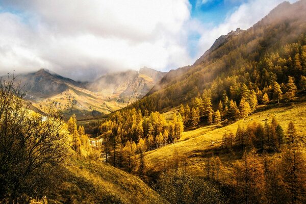 Paysage de montagne d automne dans le brouillard