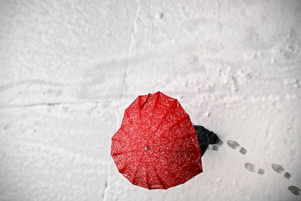 Invierno, huellas y corazón rojo