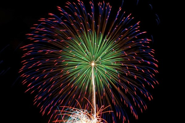 Un saludo encantador en el Festival de fuegos artificiales