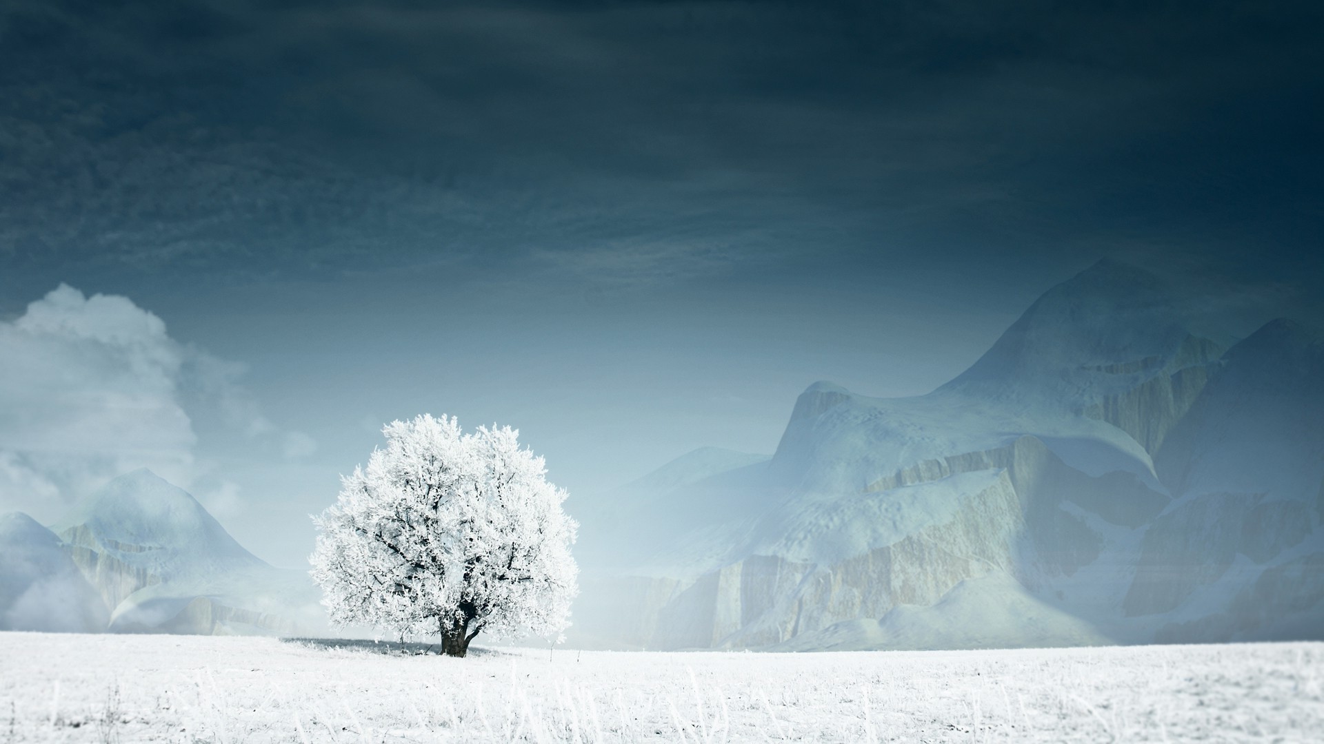 winter snow cold ice nature water fog landscape frozen sky mist frost outdoors weather travel