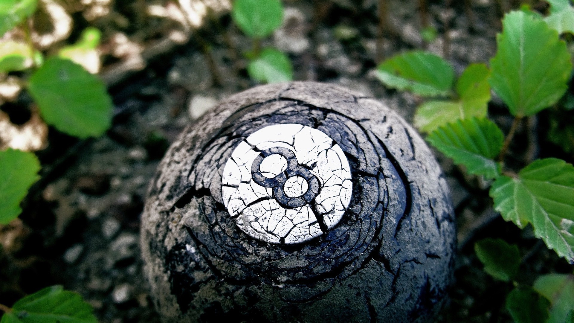 creativo naturaleza hoja escritorio madera flora madera primer plano medio ambiente patrón al aire libre textura