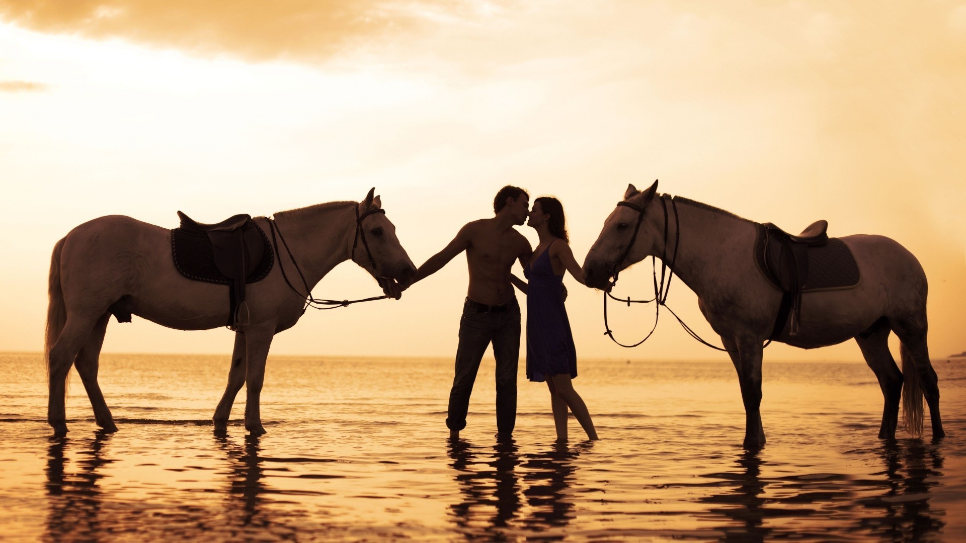 paare in der liebe pferd kavallerie mare reiter pferdezucht säugetier hengst sitzen sonnenuntergang tier rennpferd pony sport sonne zaumzeug hintergrundbeleuchtung mustang läufer urlaub