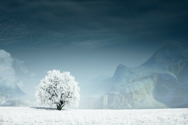 Árbol de invierno frío cubierto de nieve