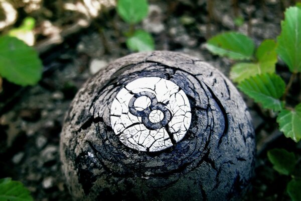 Fondos de pantalla creativos de la naturaleza