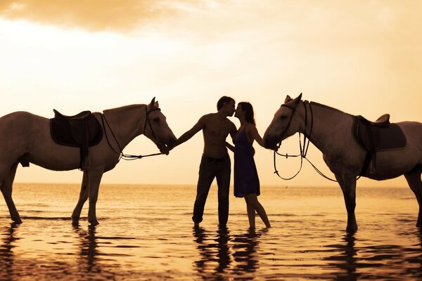 Paseo romántico a caballo en el agua