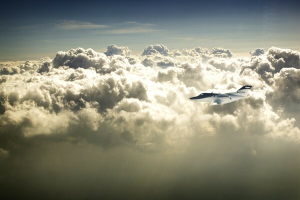 Vol volant dans le ciel nuageux