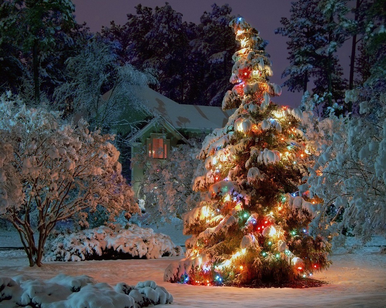 nuovo anno inverno albero natale neve all aperto tradizionale viaggi