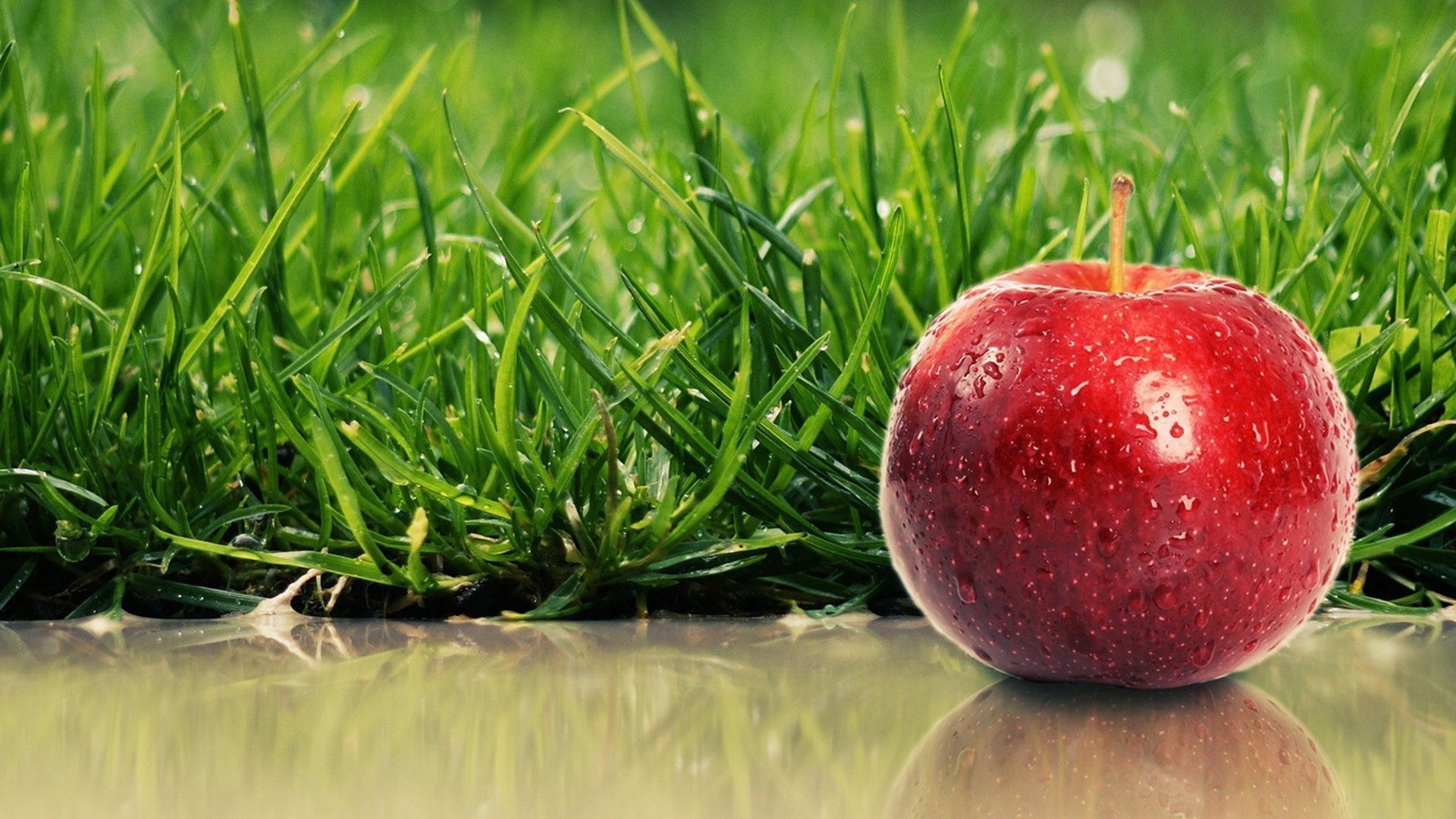 frutas grama comida natureza verão pasto jardim folha campo