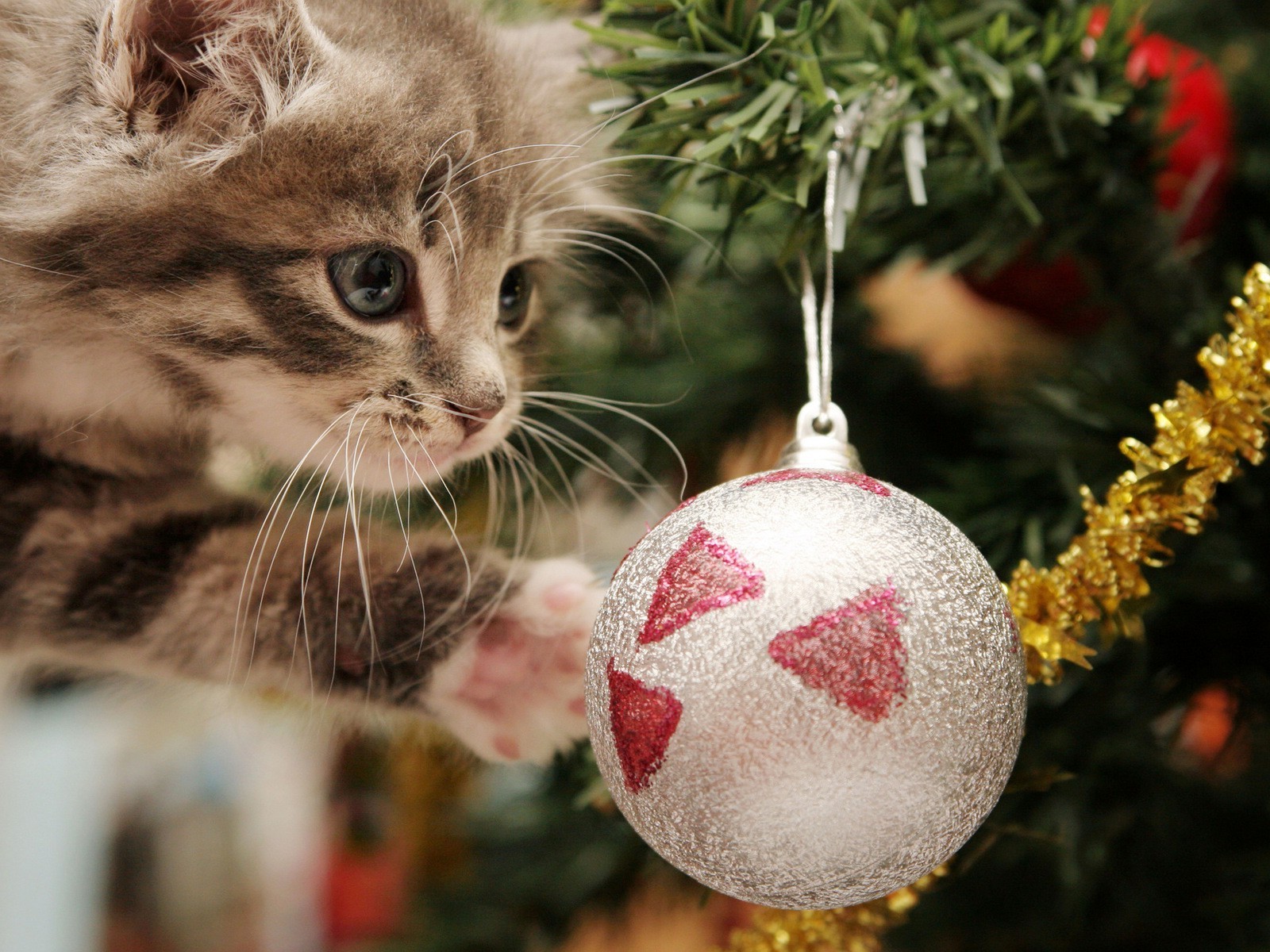 nouvel an noël boule hiver mignon