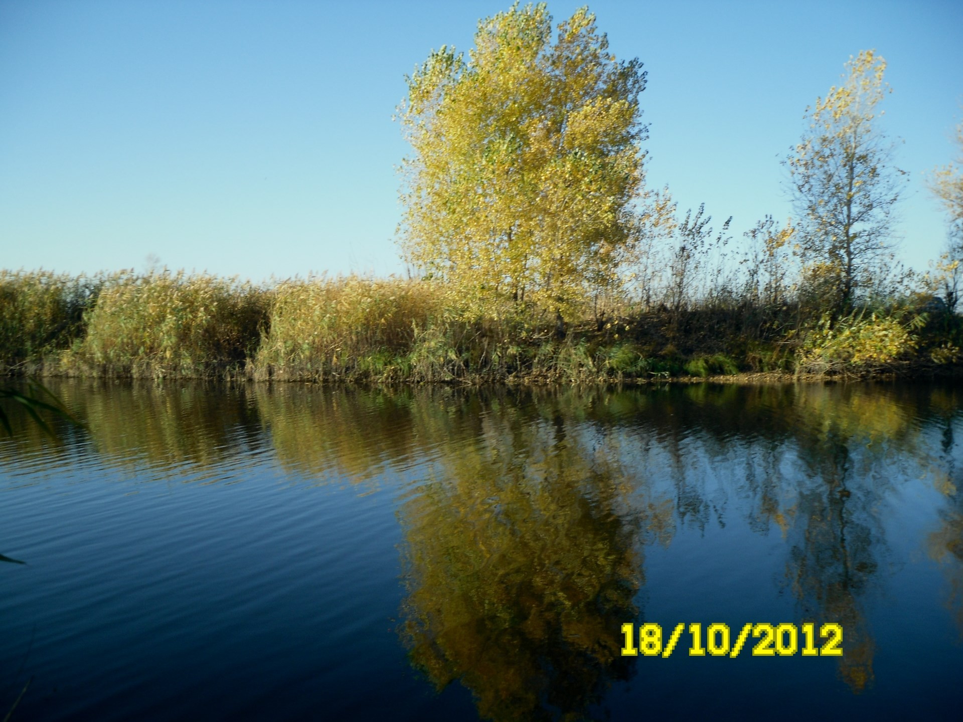 native weite herbst natur baum see reflexion wasser im freien fluss landschaft gutes wetter blatt hell schwimmbad saison gelassenheit himmel holz des ländlichen park