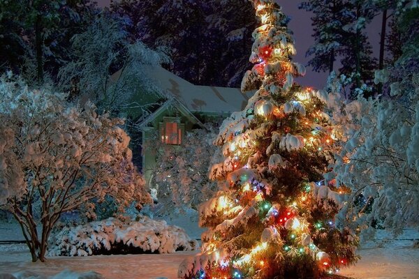 Árbol de Navidad vestido en el bosque de invierno