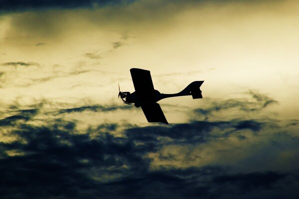 Das Flugzeug ist der schönste Vogel