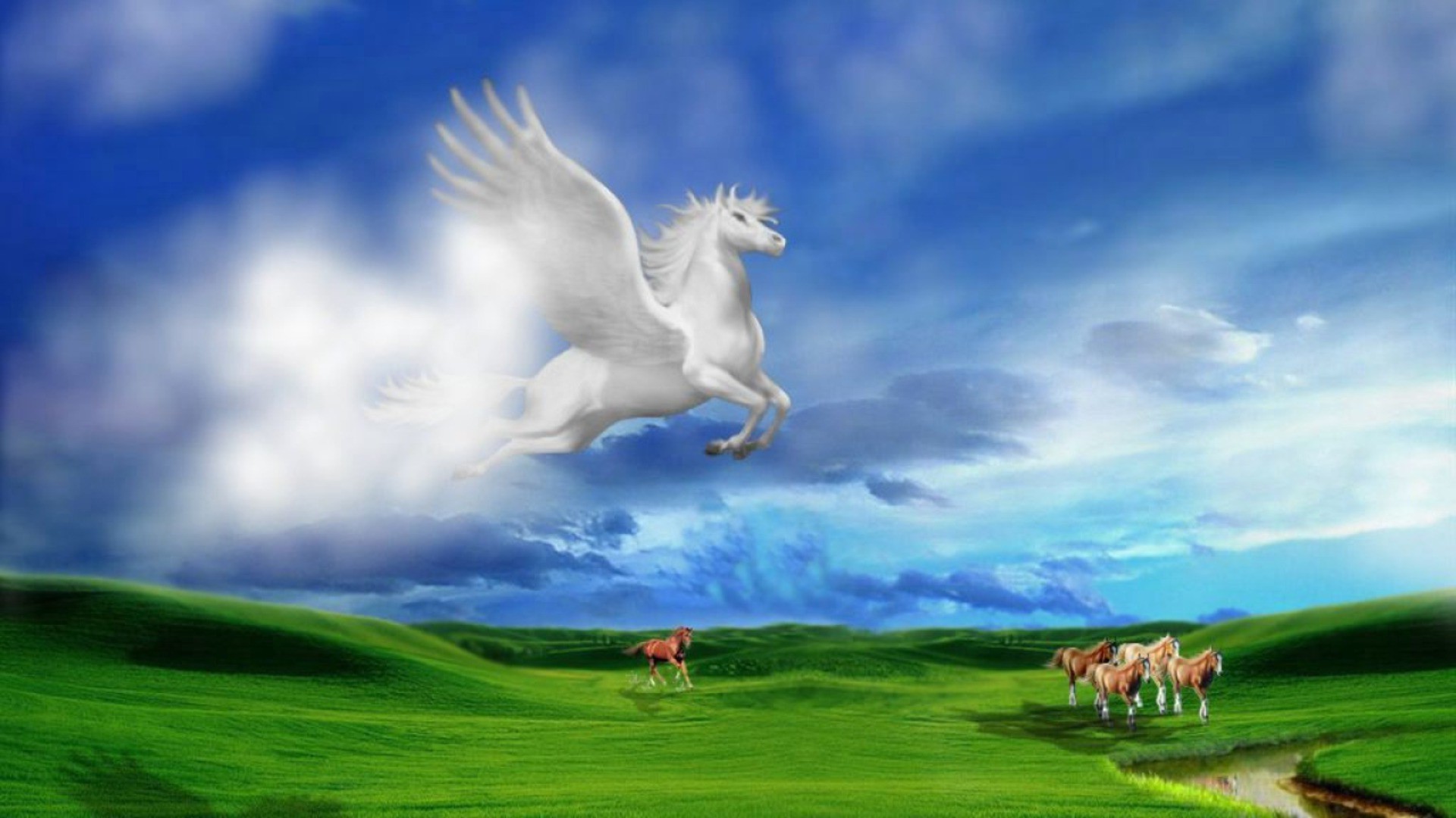 magical animals grass sky nature outdoors summer freedom hayfield field rural pasture countryside landscape cloud lawn farm fair weather grassland sun