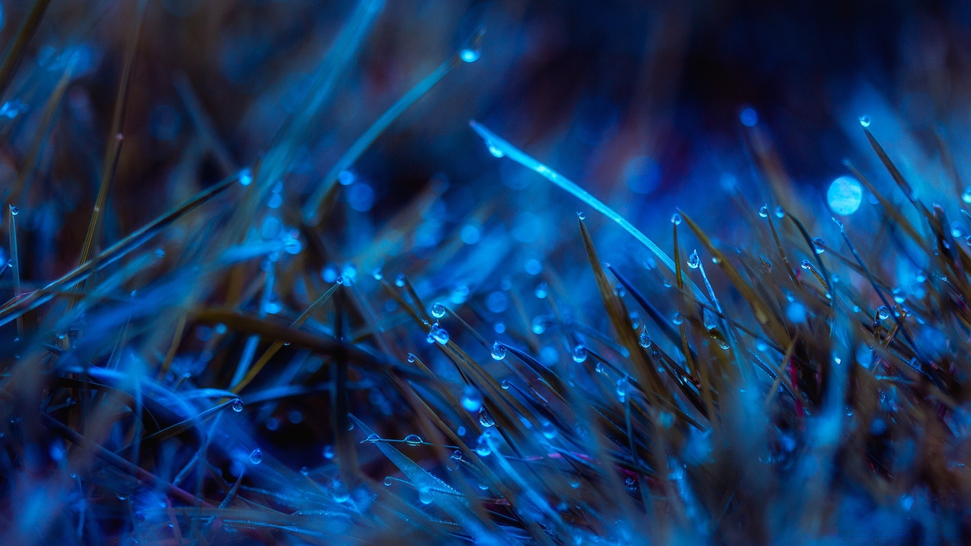 makro licht unschärfe abstrakt textur desktop farbe bewegung fasern hell flamme party