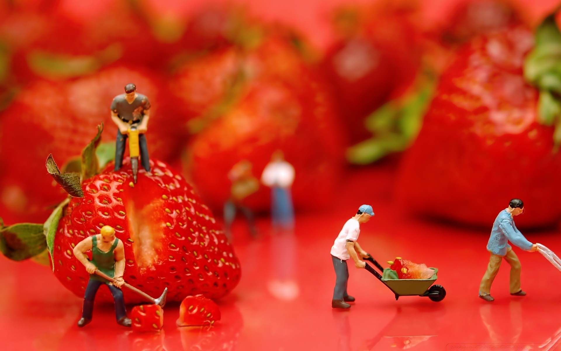 makro fotoğrafçılığı yemek meyve büyümek