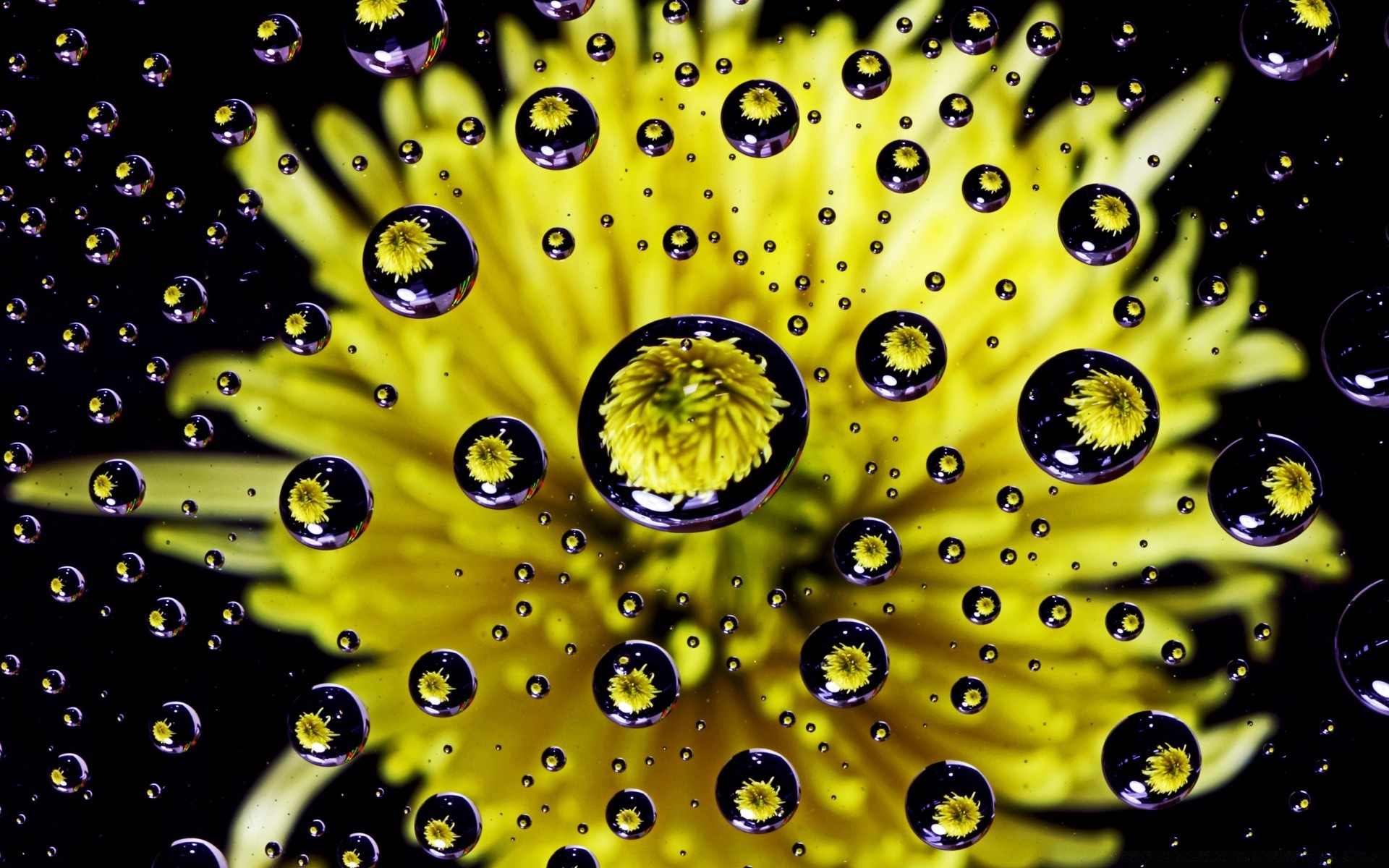 macro lluvia gota burbuja rocío agua mojado salpicaduras gotas resumen líquido claro turquesa beber escritorio brilla textura reflexión rocío claro