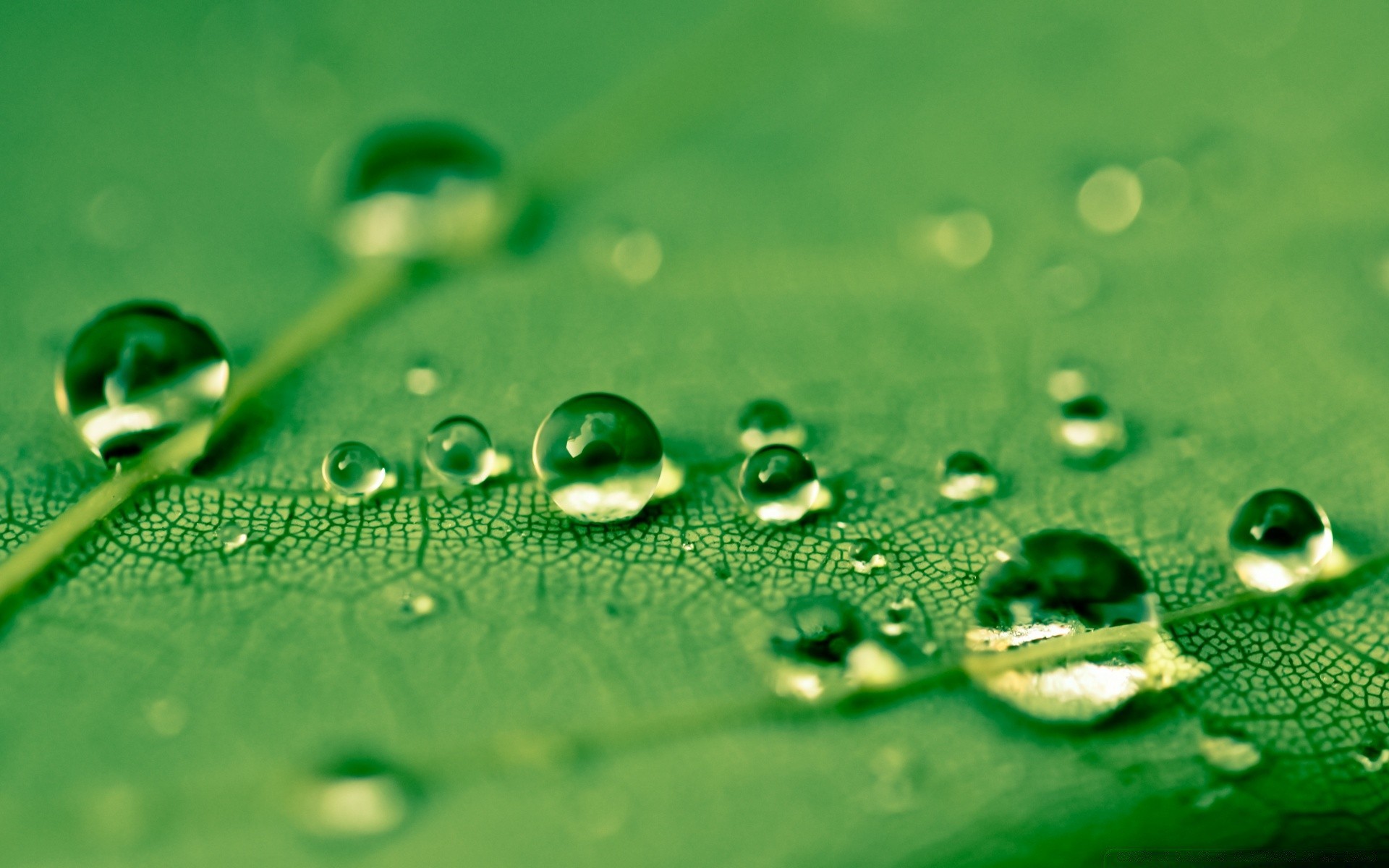 macro gota rocío lluvia mojado gotas líquido agua limpio claro limpio burbuja splash gotas waterdrop turquesa reflexión limpio lavado