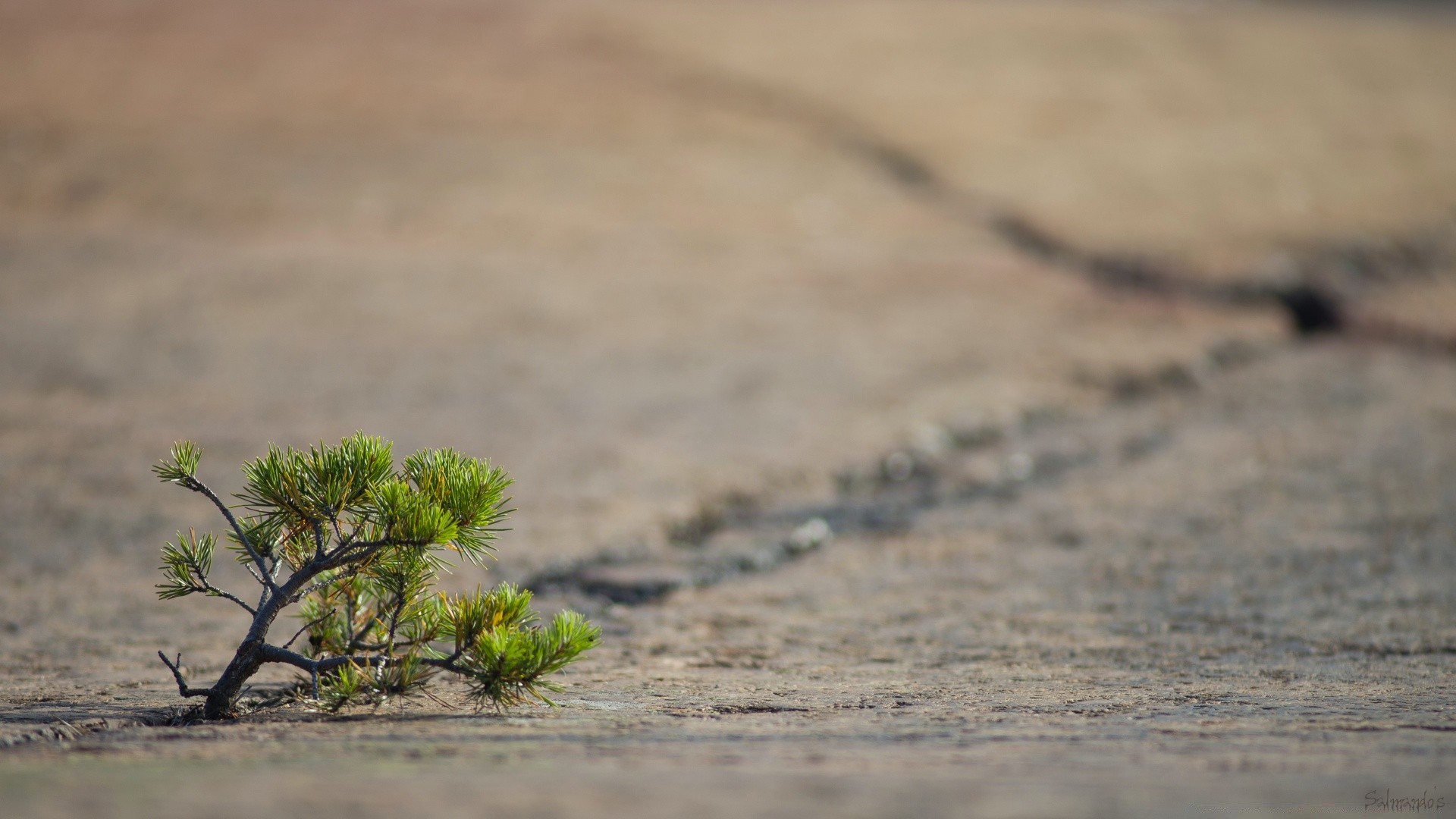 makroaufnahme strand sand wüste wasser natur meer landschaft meer ozean küste im freien reisen gutes wetter trocken sommer urlaub sonne