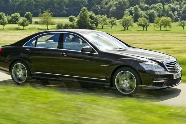 Black Mercedes drives through a green field