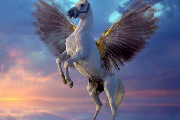 Fantastic pegasus spread his wings