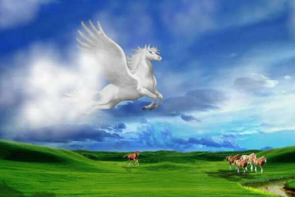 White Pegasus flies over the galloping horses